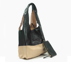 Celine New Lambskin Handbags 8823 Apricot Black 8823